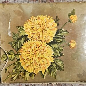 Vintage photo book w/56 photos